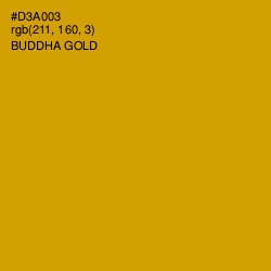 #D3A003 - Buddha Gold Color Image